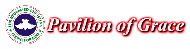 pavi-logo2.png